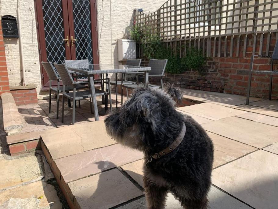 Award Winning Pet Friendly Paddock Cottage Уитби Экстерьер фото