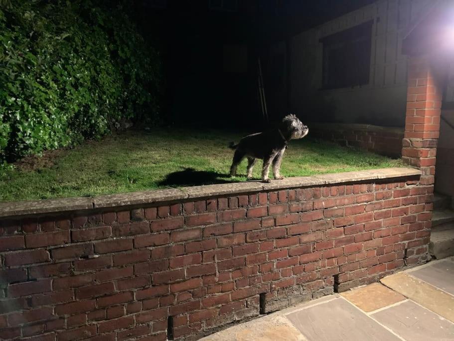 Award Winning Pet Friendly Paddock Cottage Уитби Экстерьер фото